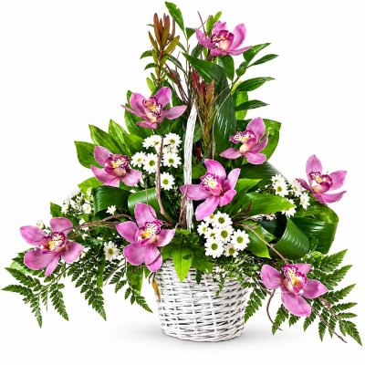 Korb mit Orchideen und Chrysanthemen