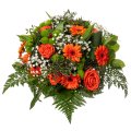 Orangefarbene Rosen und Santini
