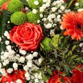 Orangefarbene Rosen und Santini
