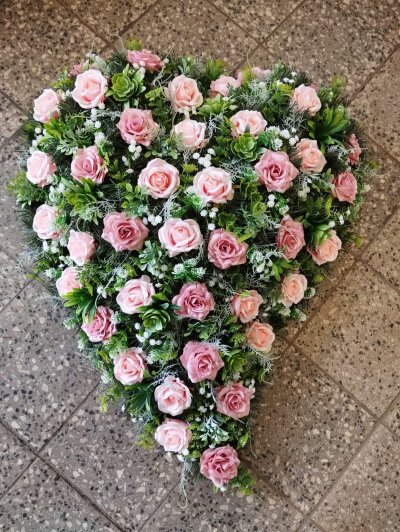 WhatsApp Image 2026-01-20 at 20.40.32.jpeg