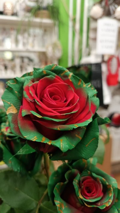 WhatsApp Image 2026-01-20 at 20.53.50.jpeg