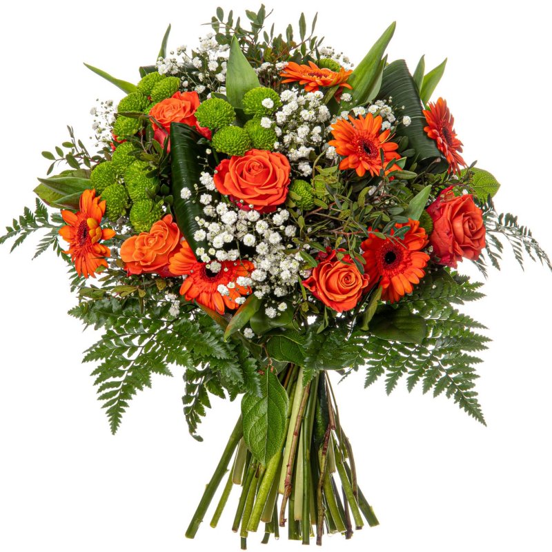 Orangefarbene Rosen und Santini